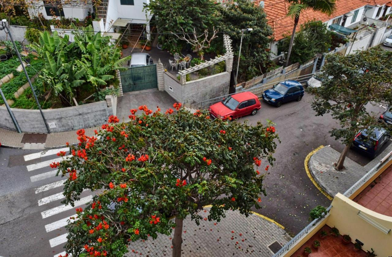 Perola, A Home In Madeira Funchal  Ngoại thất bức ảnh